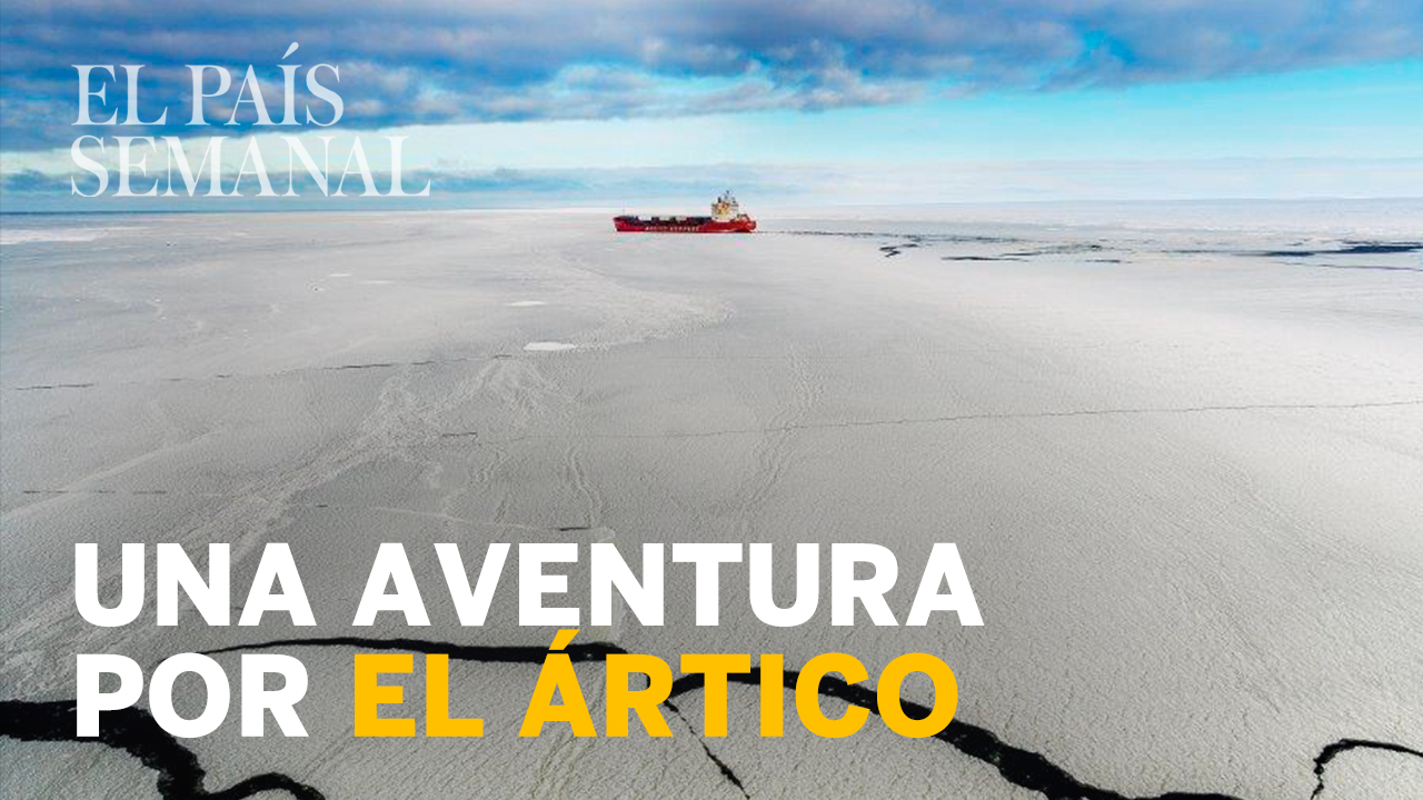 El Ártico ruso, un lugar donde conviven osos polares, basura industrial y oligarcas