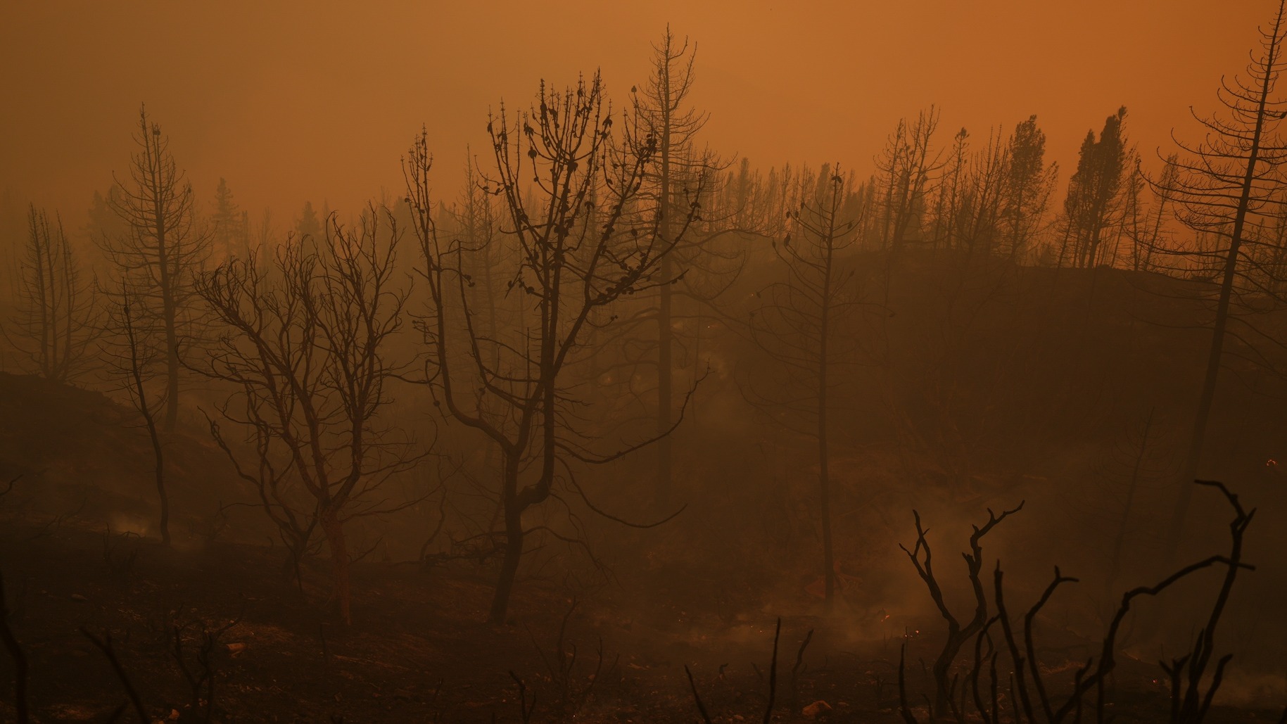 La NASA asegura que 2024 ha sido el año más caluroso