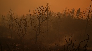 La NASA asegura que 2024 ha sido el año más caluroso