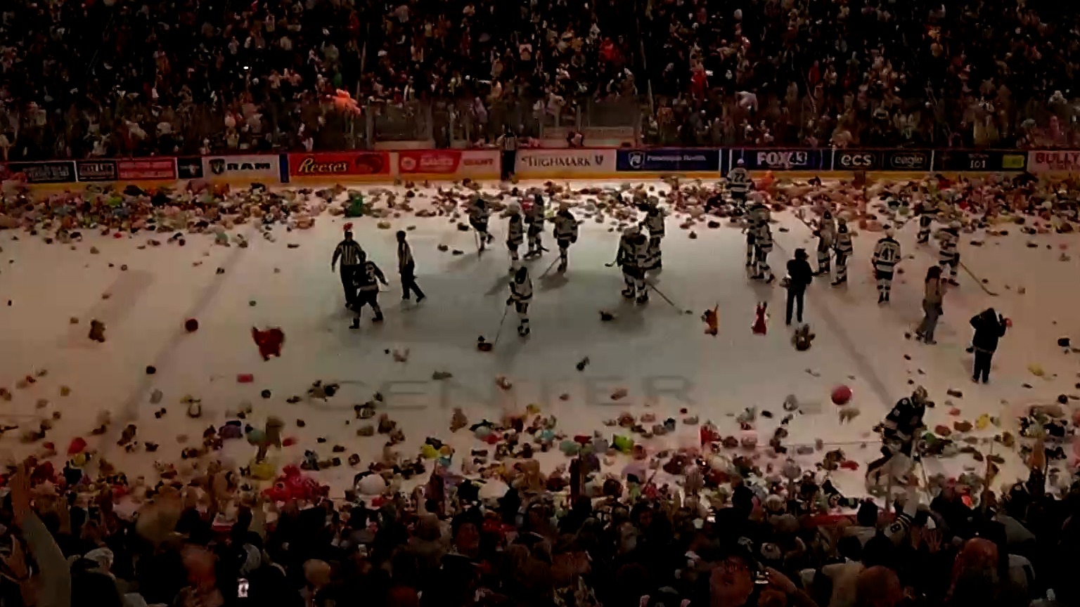 La tradicional lluvia de osos de peluche en un partido del hockey en Pensilvania