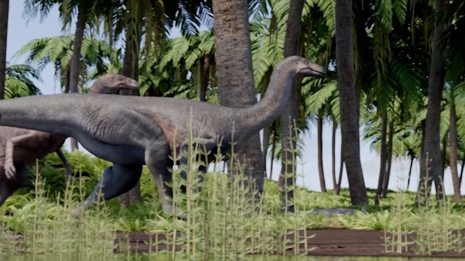 Encuentran en Argentina el fósil de uno de los dinosaurios más antiguos