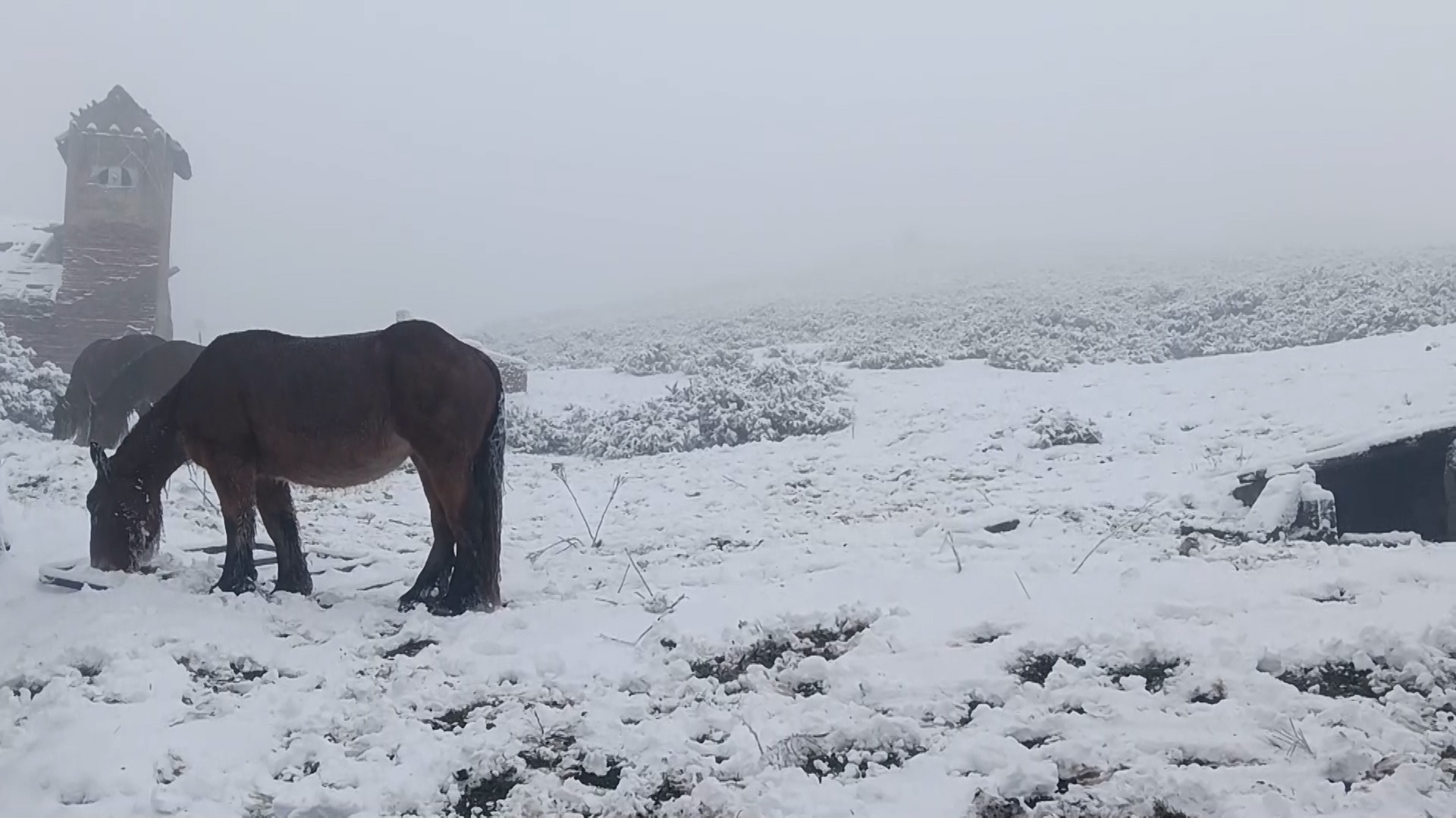 Así se han vivido las nevadas en el norte peninsular