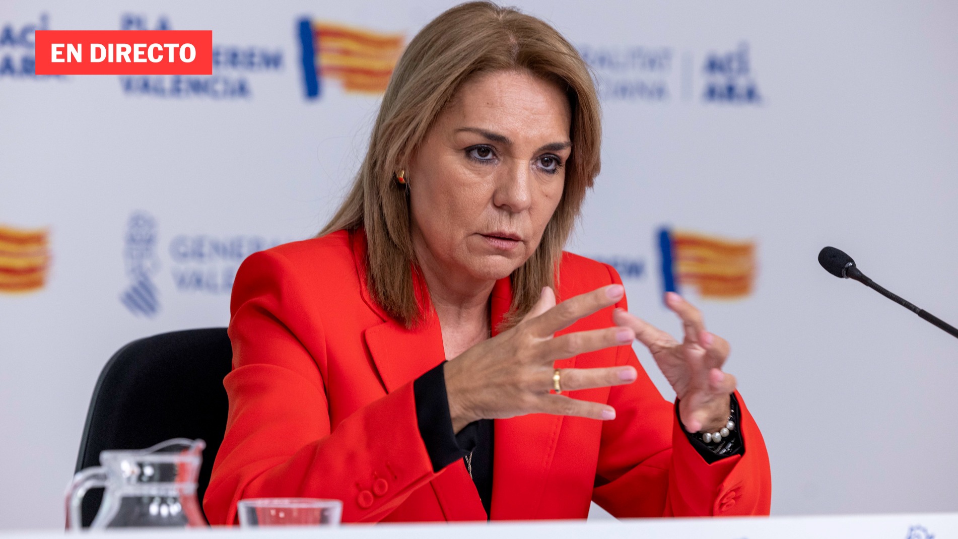 Susana Camarero ante la comisión del Congreso sobre la dana, en directo