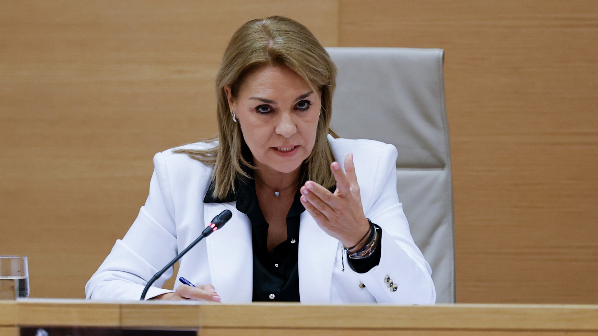 Camarero en la comisión de la Dana del Congreso: "todos recibieron teleasistencia"