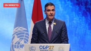 Sánchez comparece ante los medios tras asistir a la COP-30, en Belèm, en directo
