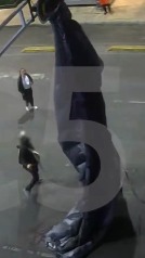 Paracaídista se atora en un semáforo de la Ciudad de México