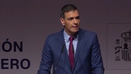 Sánchez cuestiona la "praxis" de jueces en violencia machista