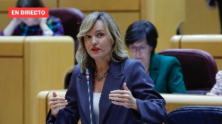 Pleno del Senado, en directo