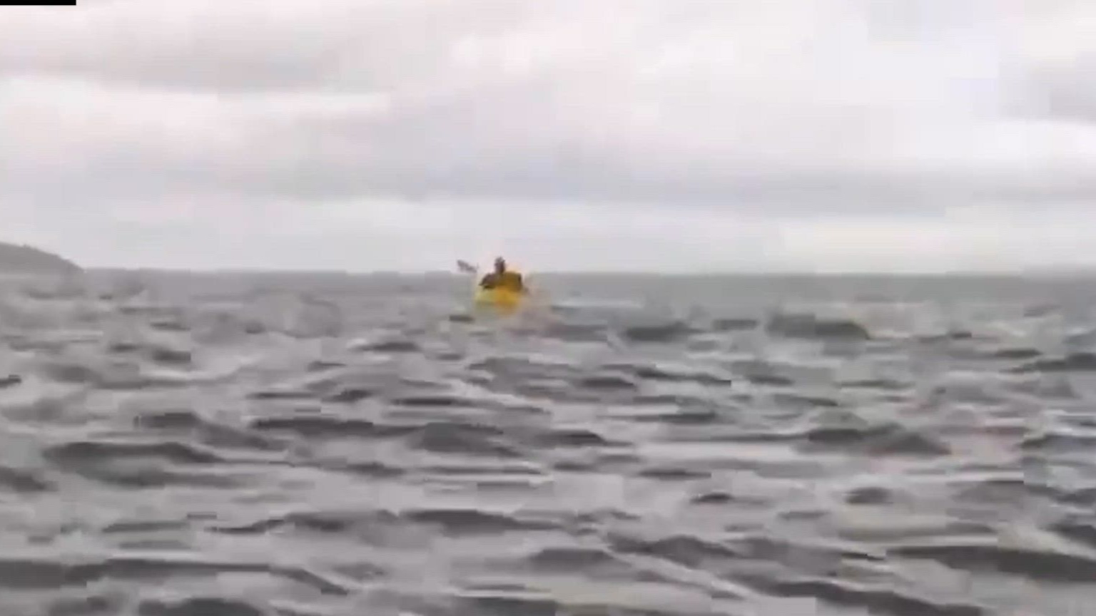 Ballena se traga a hombre