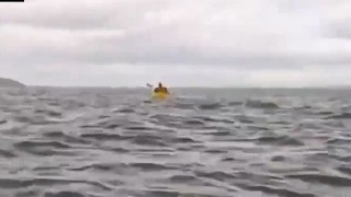 Ballena se traga a hombre