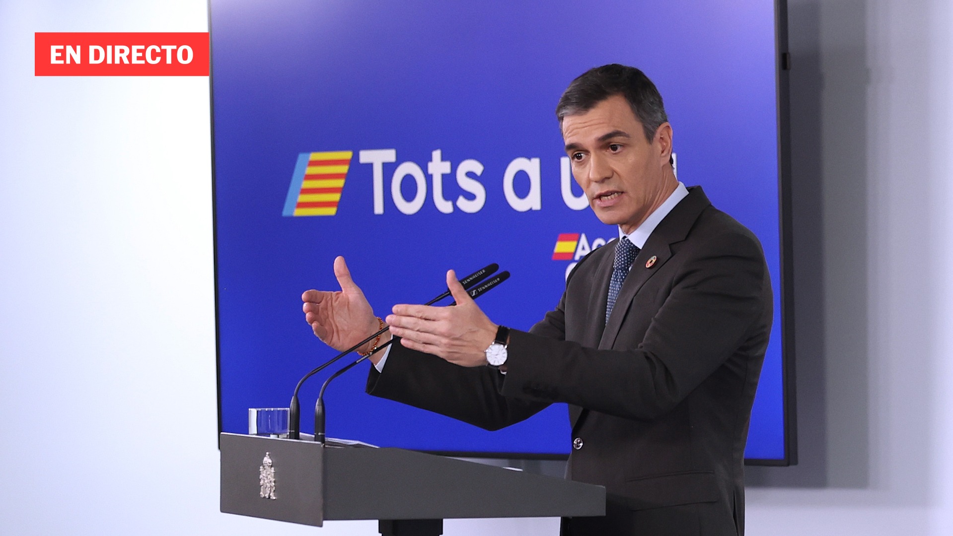 Sánchez declara tras el encuentro con el presidente de Egipto, Al-Sisi, en directo