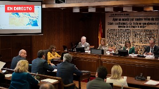 Comisión de investigación sobre la gestión de la DANA, en directo