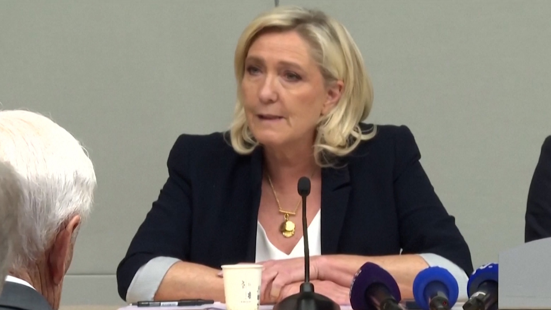 Marine Le Pen: "Nos defenderemos para permitir al pueblo francés que elija a su futuro líder, y ganaremos"