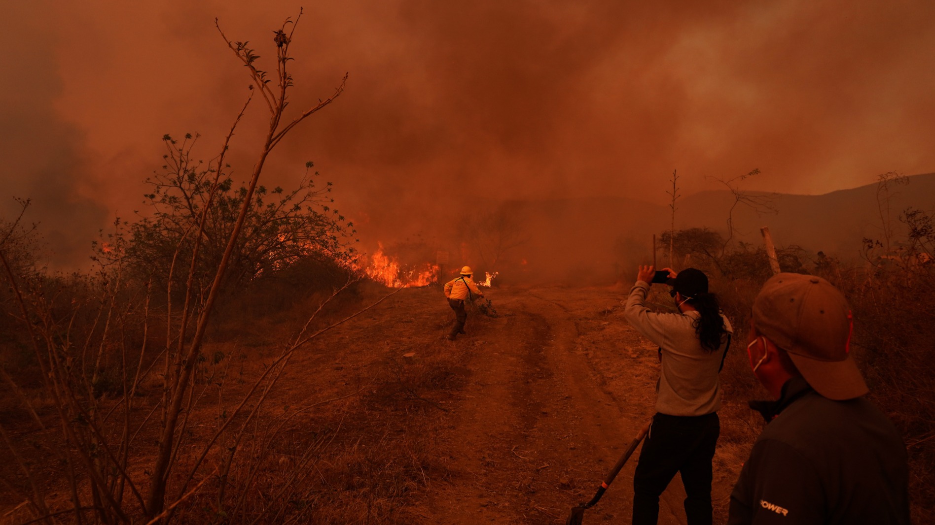Incendios forestales en los Valles Centrales de Oaxaca