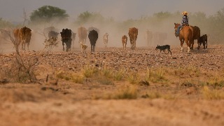 La sequía en el norte de México