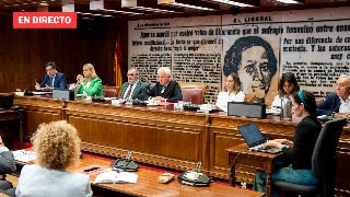 Comisión de investigación en el Senado por el 'Caso Koldo', en directo