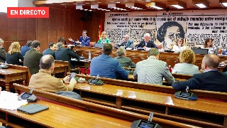 Comisión de investigación en el Senado por el 'Caso Koldo', en directo