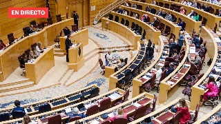 Sesión de control al Gobierno en el Senado