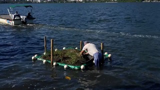 Islas artificiales en Brasil