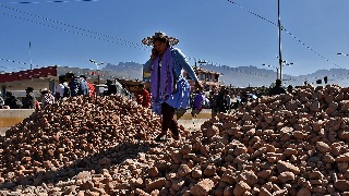Los cocaleros bloquean Bolivia