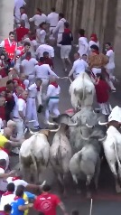 Los temidos toros de José Escolar protagonizan un encierro rápido y limpio