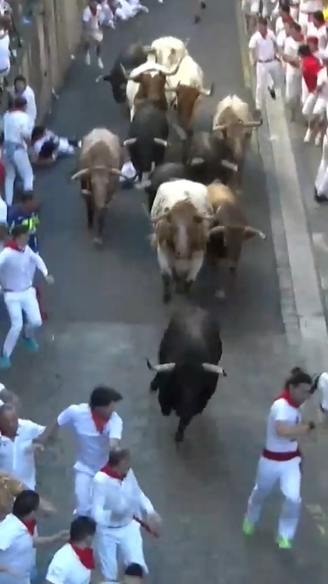 Los toros de La Palmosilla protagonizan un séptimo encierro muy peligroso