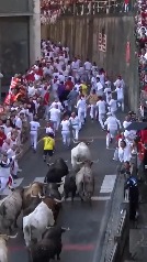 Los toros de La Palmosilla protagonizan un séptimo encierro muy peligroso