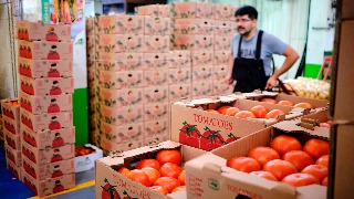 Estados Unidos impone arancel de 17% al jitomate mexicano