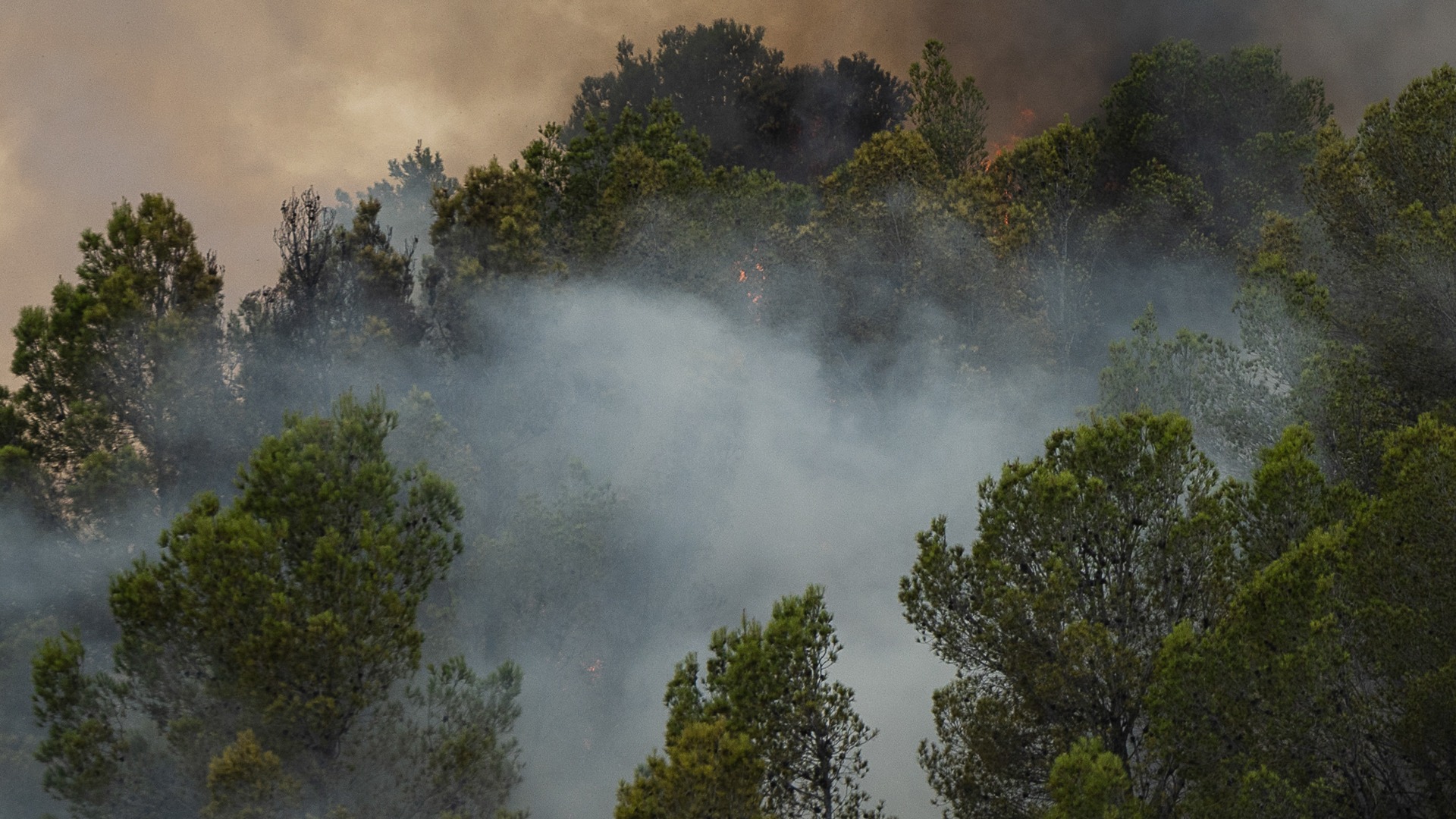 El viento complica la extinción del fuego en Paüls (Tarragona)
