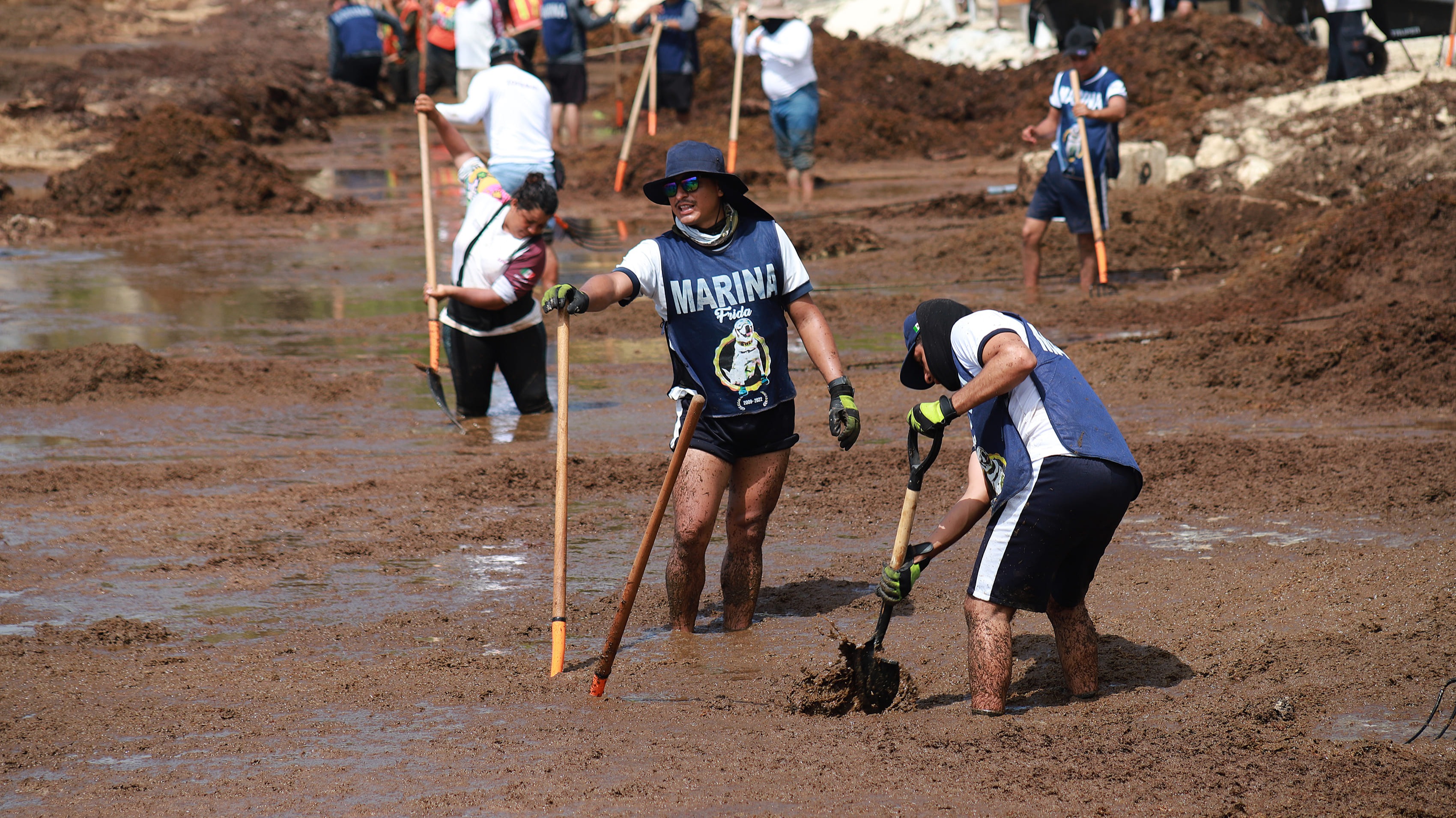 Centro de monitoreo de sargazo en Quintana Roo
