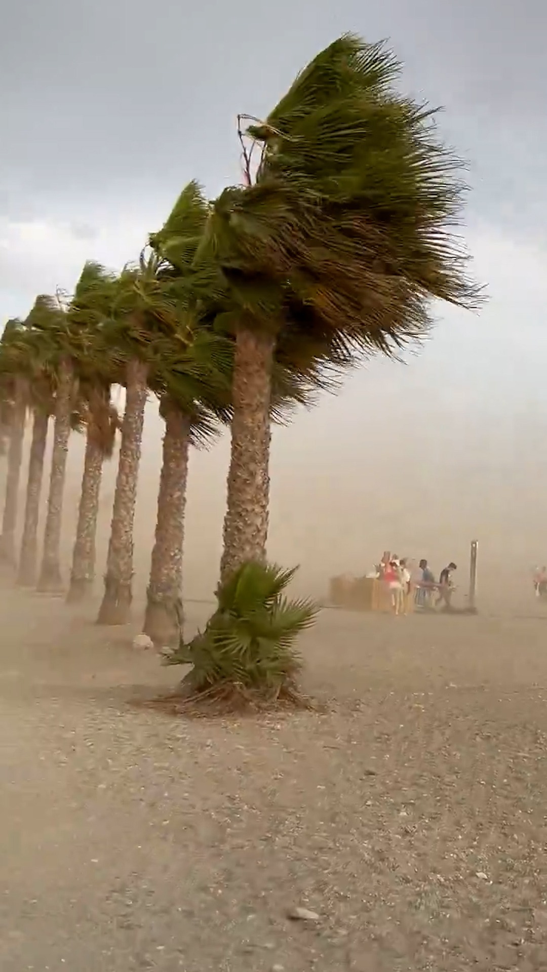 Así se vivió el reventón térmico en las playas de Granada