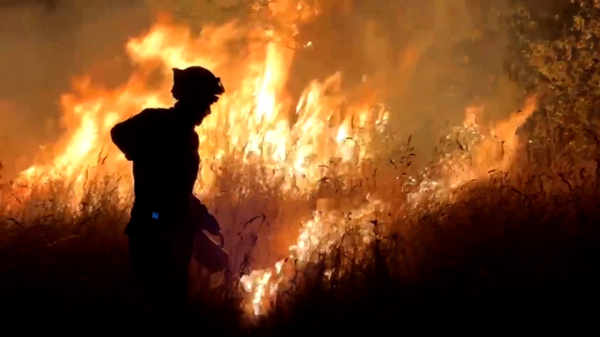 Los incendios siguen castigando España, con especial incidencia en Ourense, Zamora, León y Extremadura