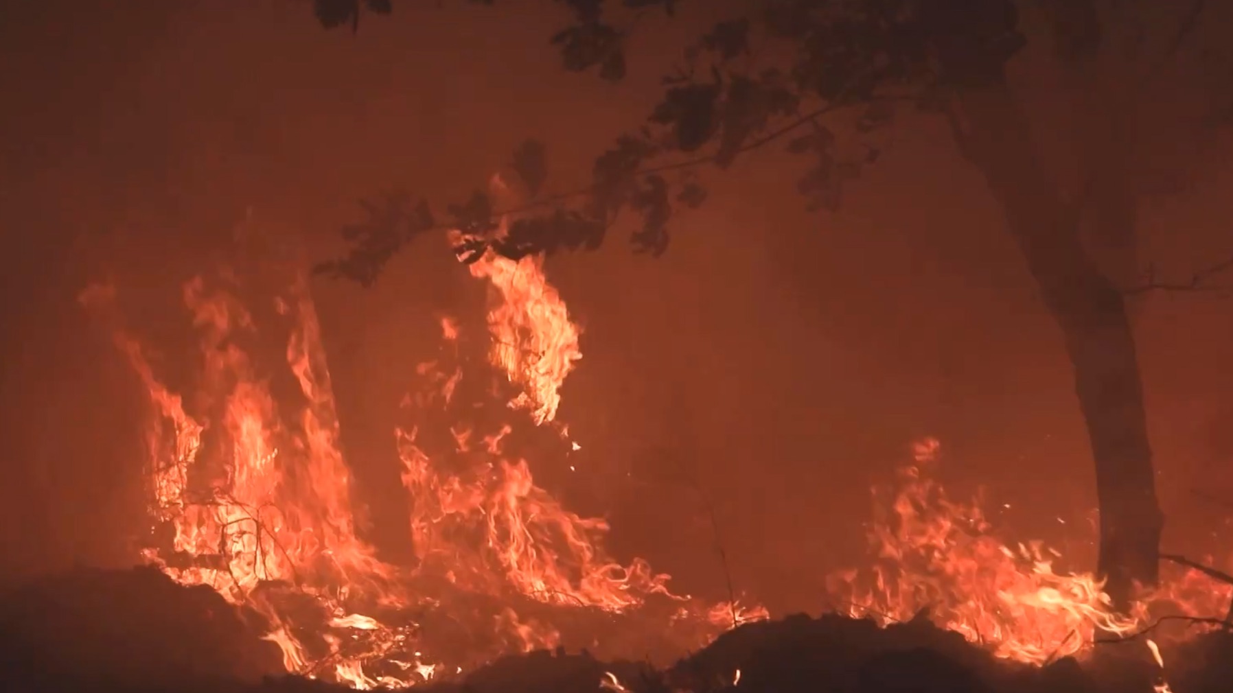 La ola de incendios que asola el noroeste de España sigue en marcha