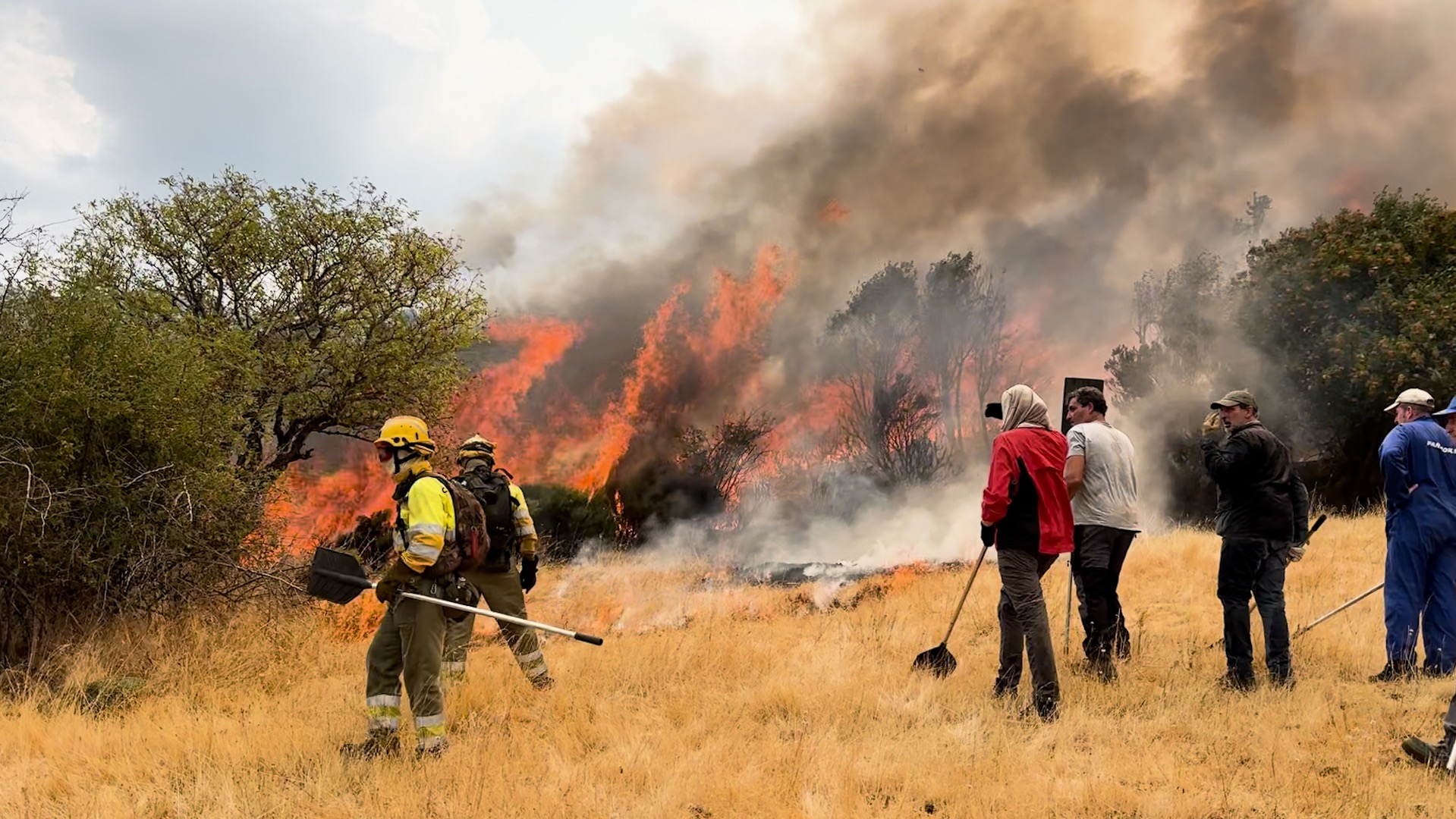 En primera línea del incendio de Jarilla: la comarca se vuelca contra el fuego