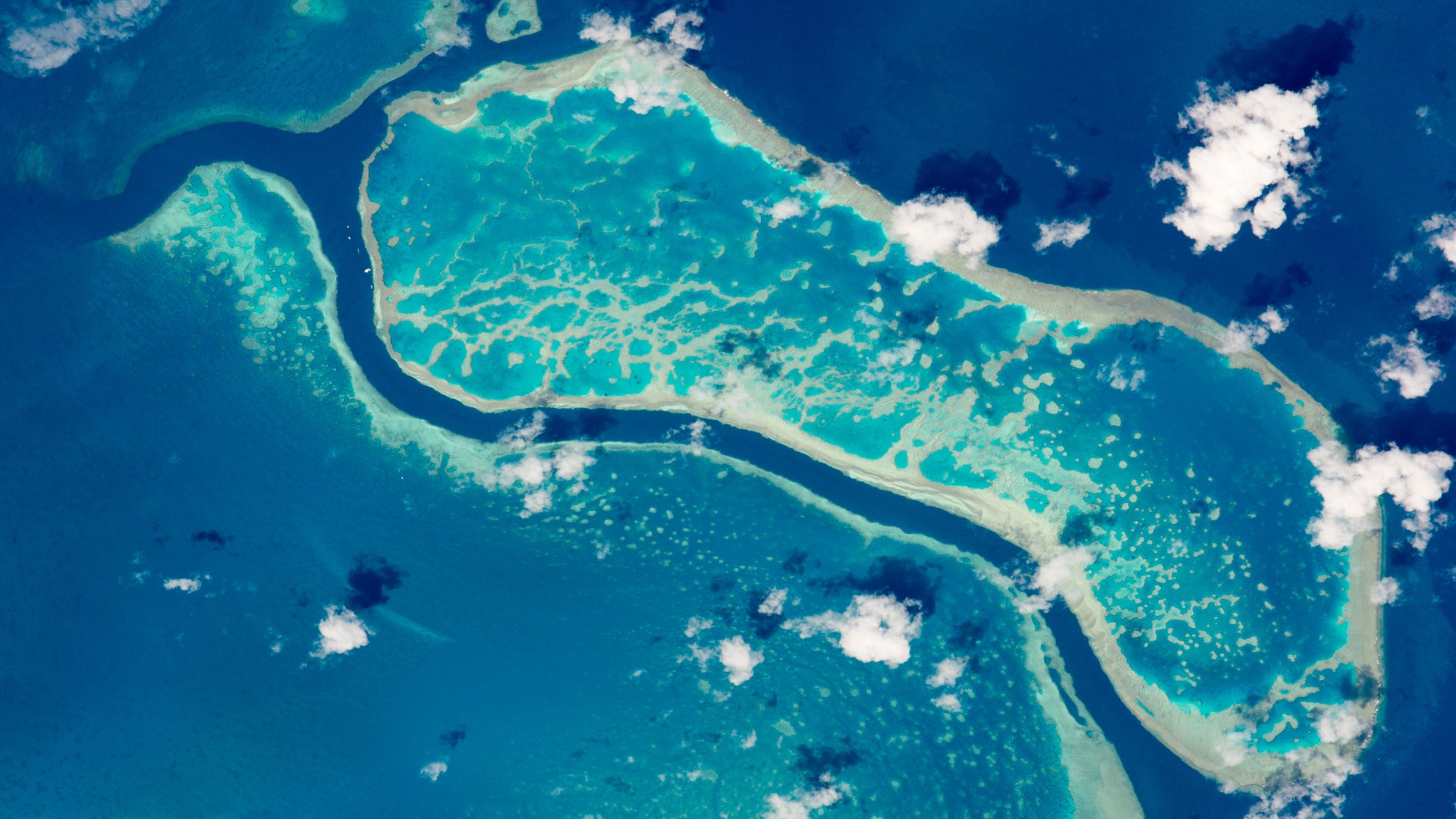 La Gran Barrera de Australia sufre la mayor pérdida de coral registrada