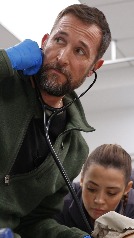 Los favoritos de los Globos de Oro