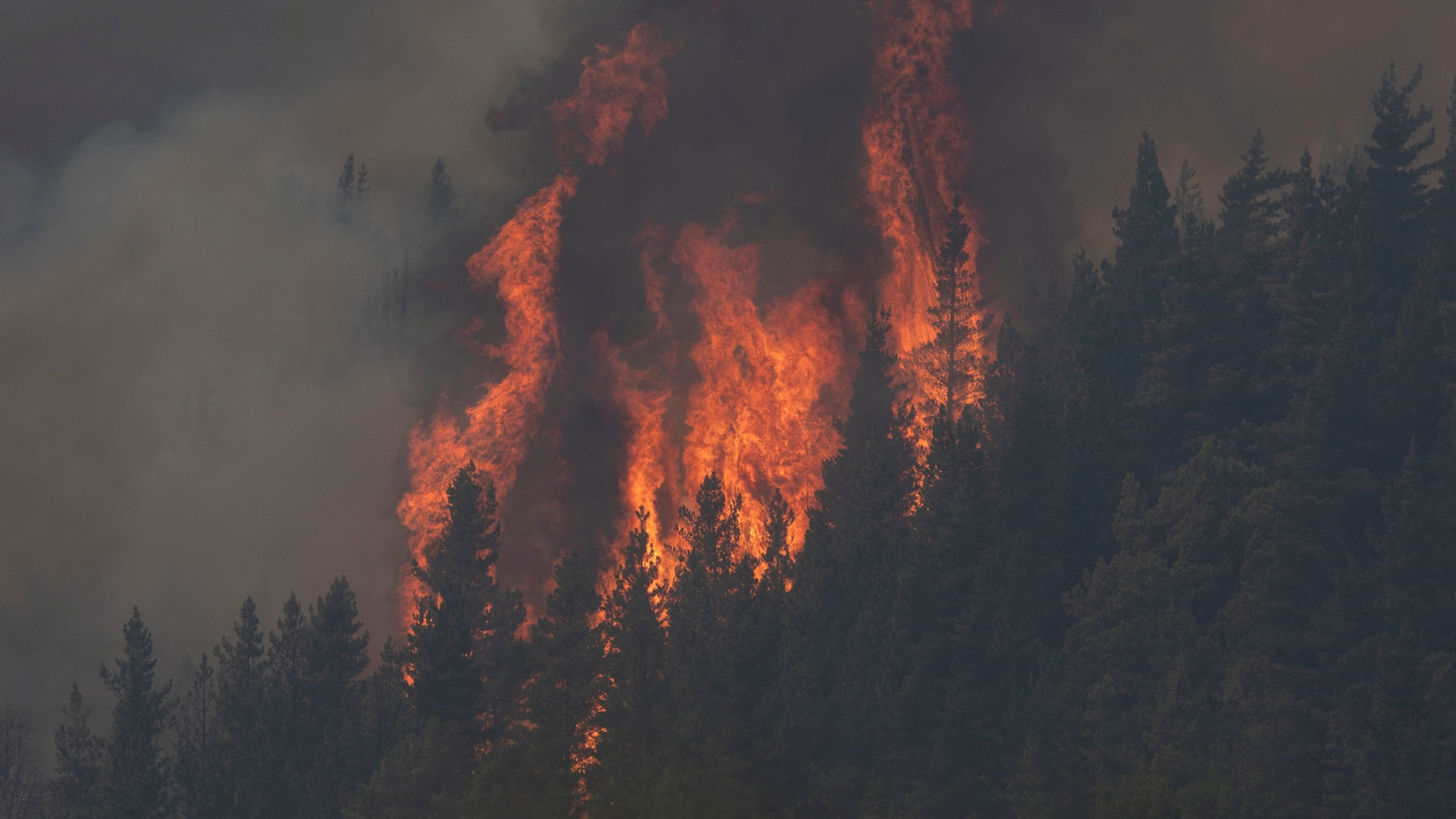 El fuego consume alrededor de 12.000 hectáreas en la Patagonia argentina