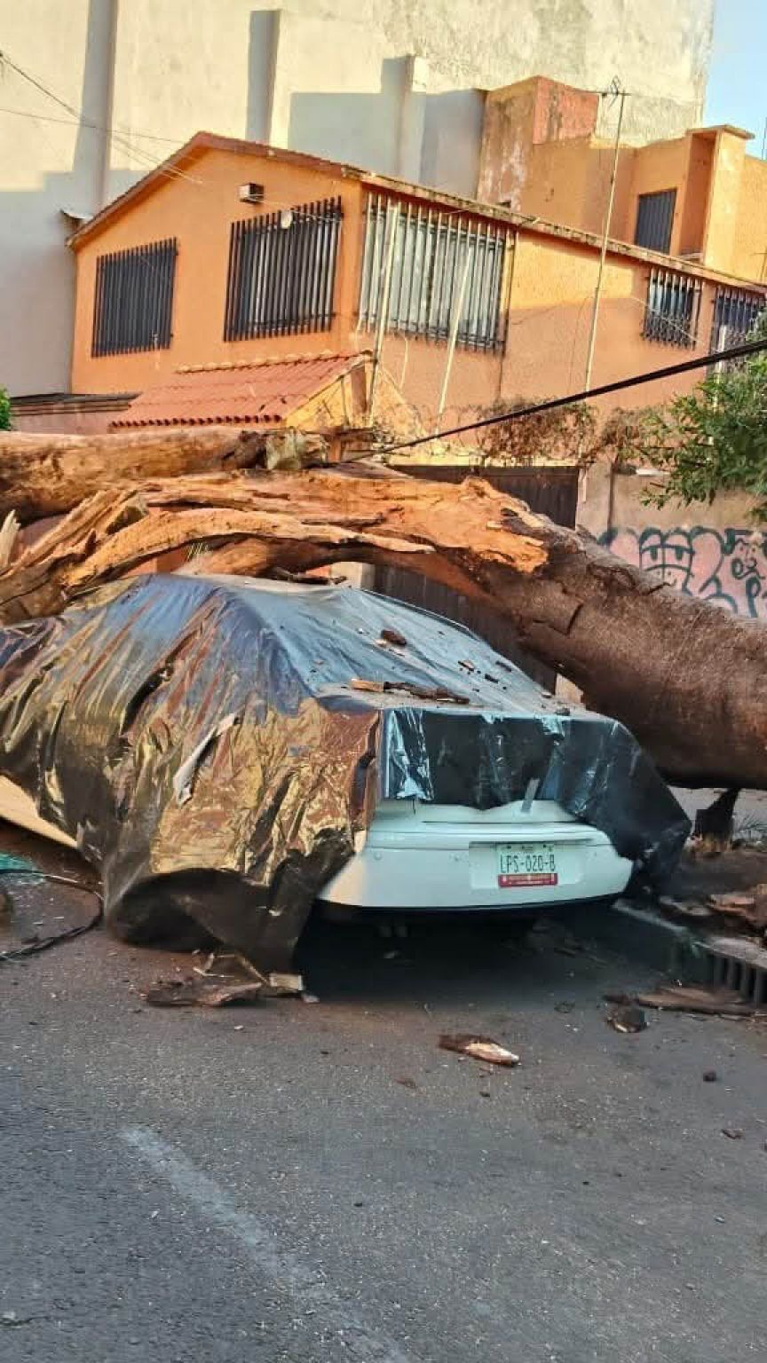 Edificios sacudidos por el sismo en Guerrero