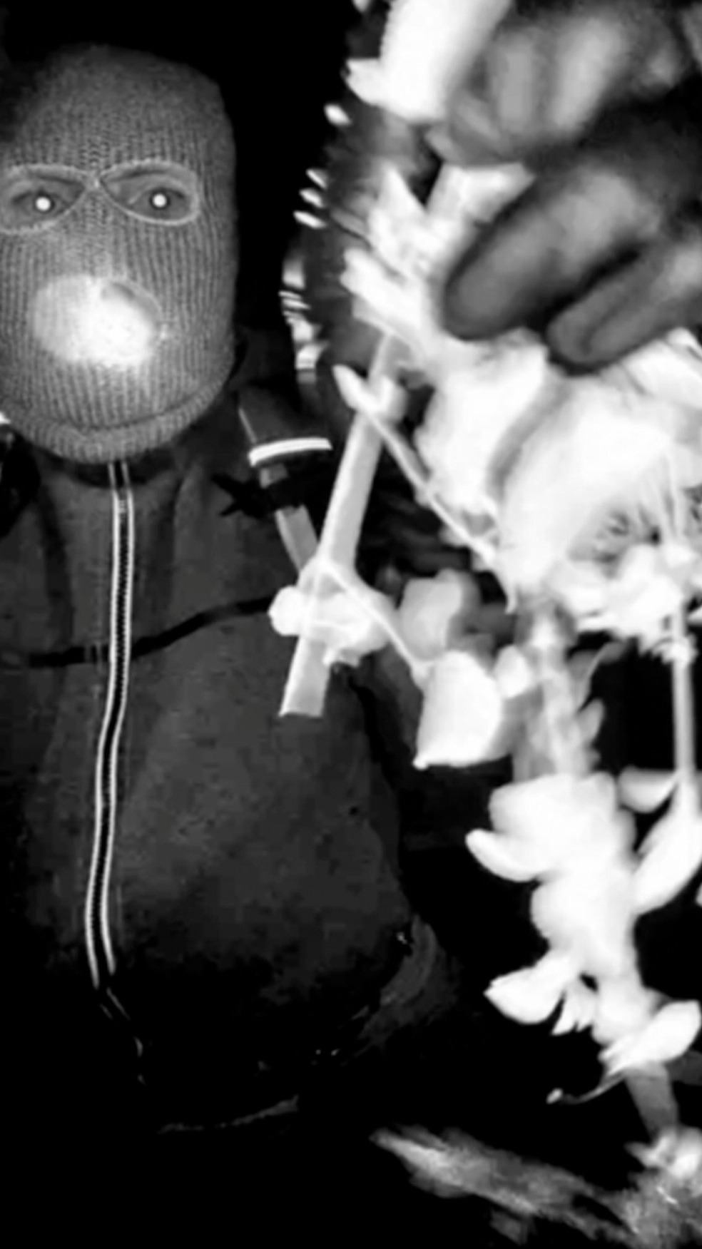 Hombre enmascarado en el porche de Nancy Guthrie