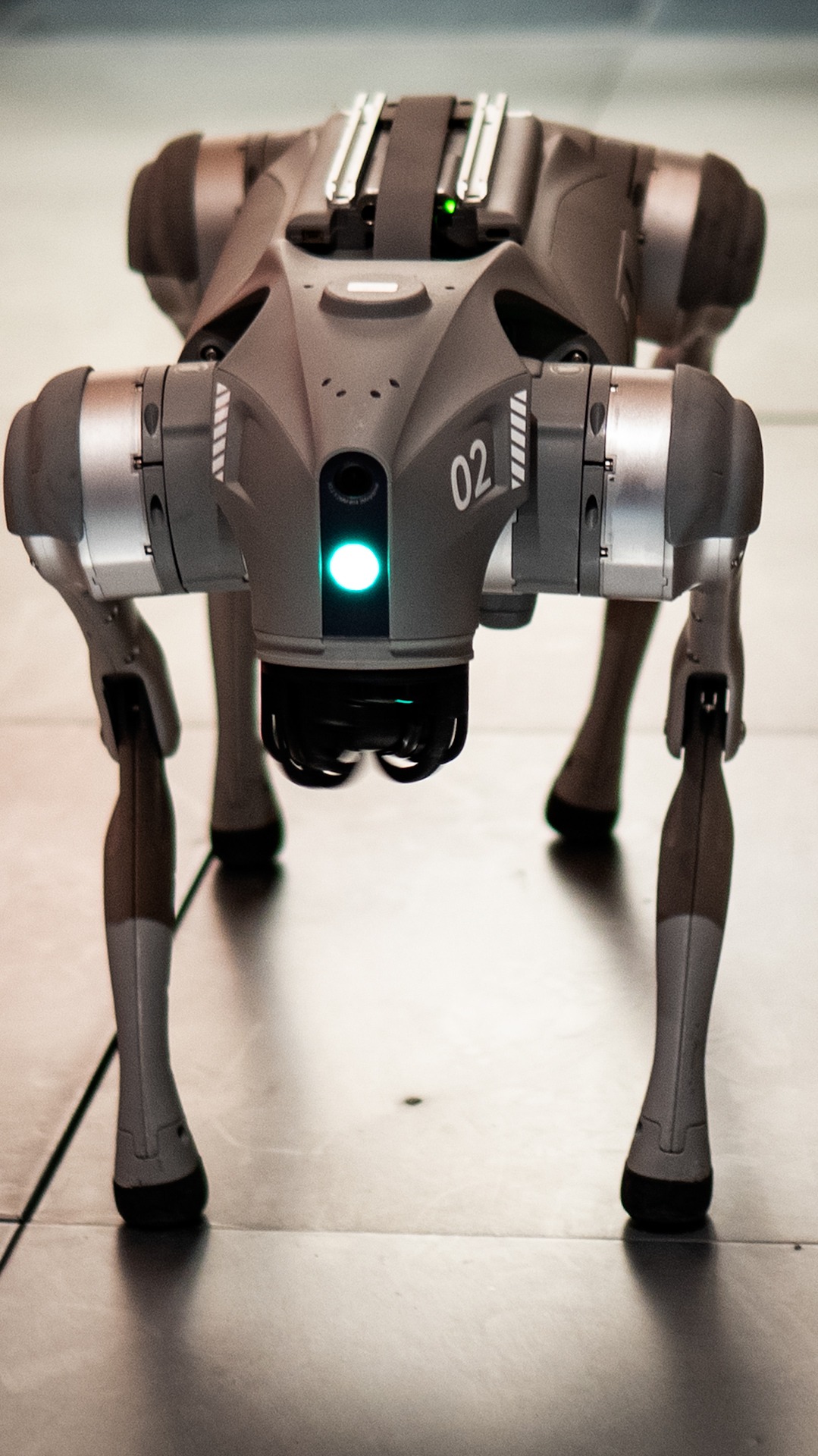 Perros robot para el Mundial 2026 en Monterrey