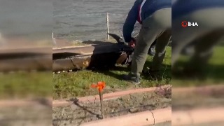 Este es el misil balístico iraní derribado por la OTAN