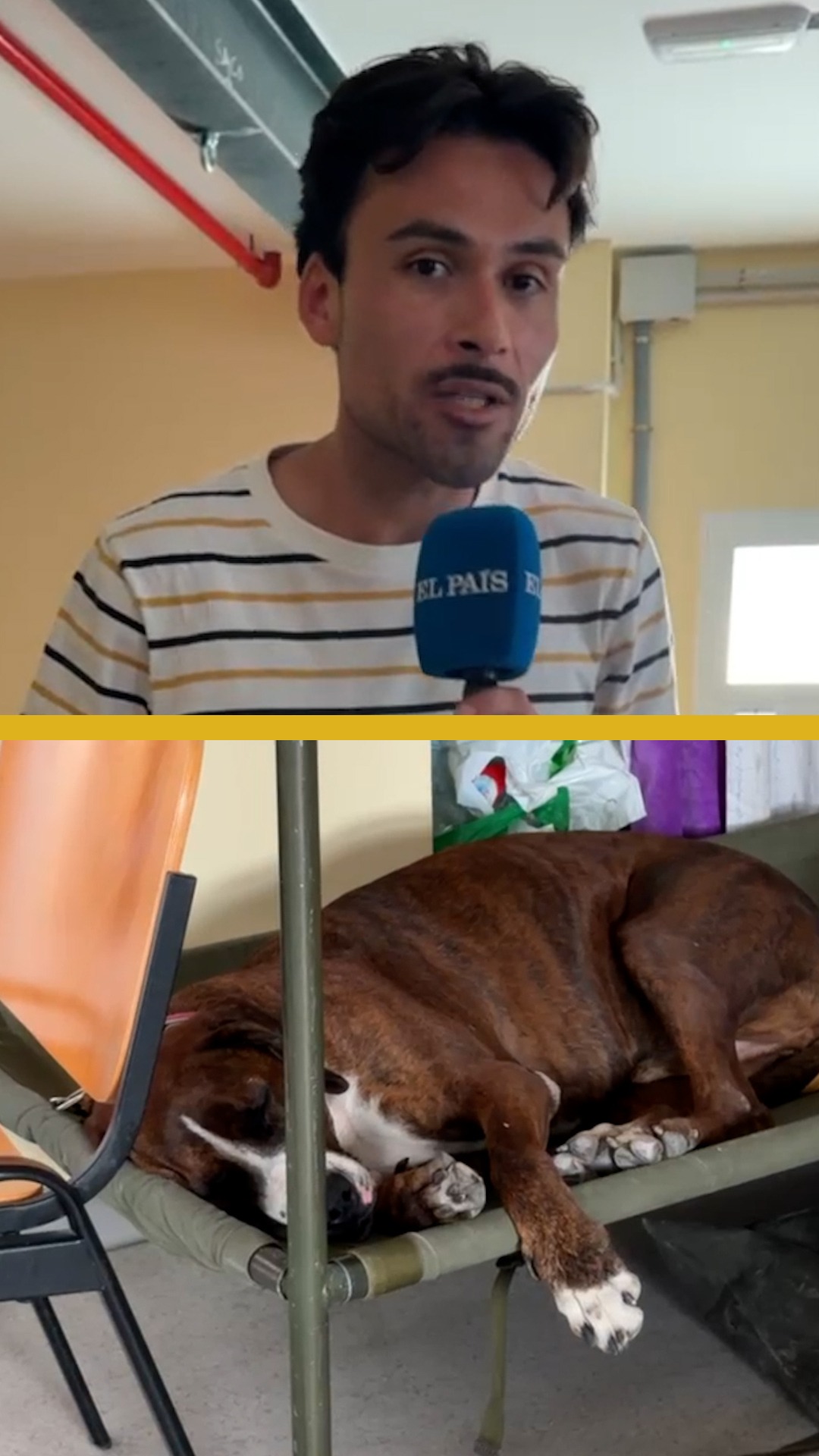 Los desalojados con mascota en Villamanta: “Lo primero que hice fue coger a mi perro”