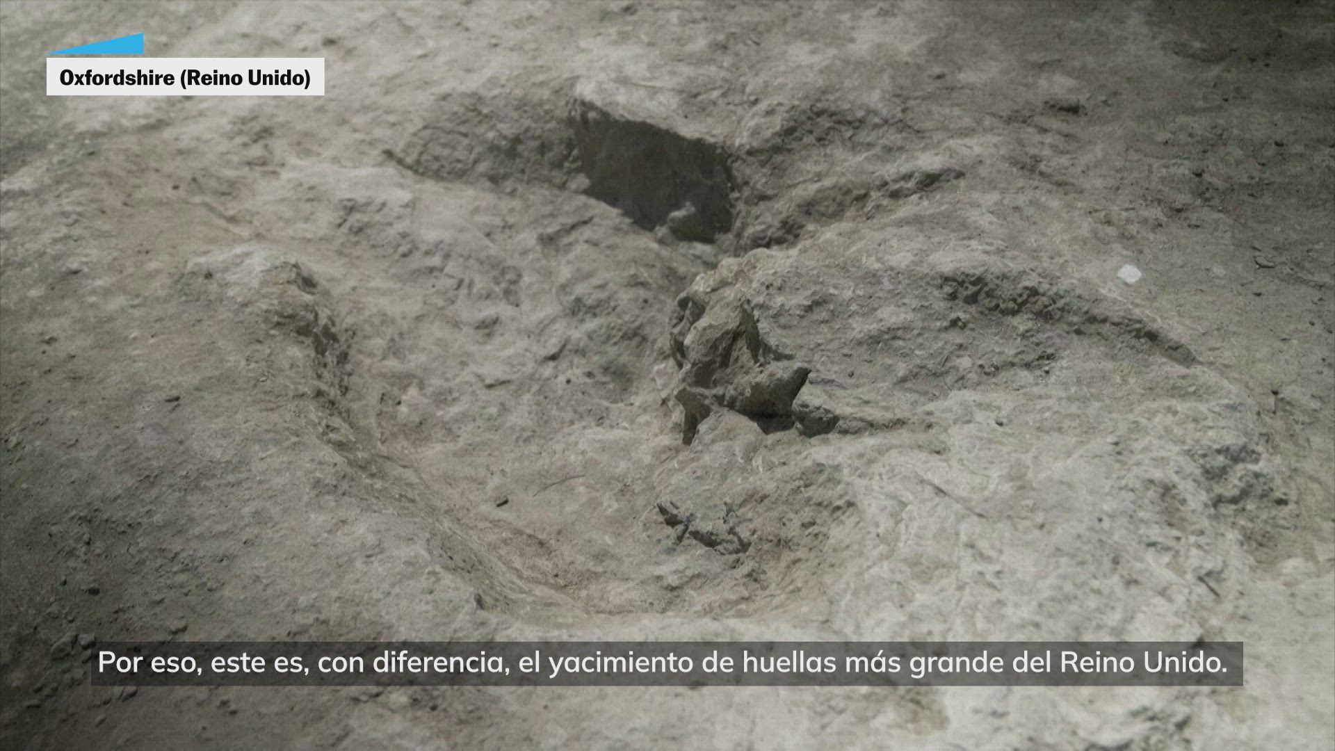Encuentran cientos de huellas de dinosaurios en una cantera del Reino Unido: “Es el más grande del país”