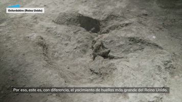 Encuentran cientos de huellas de dinosaurios en una cantera del Reino Unido: “Es el más grande del país”