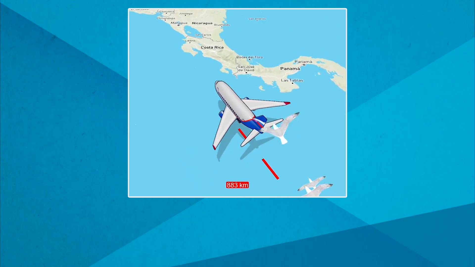 Tráfico de personas en TikTok: los coyotes esquivan a Trump con ofertas en la red social china