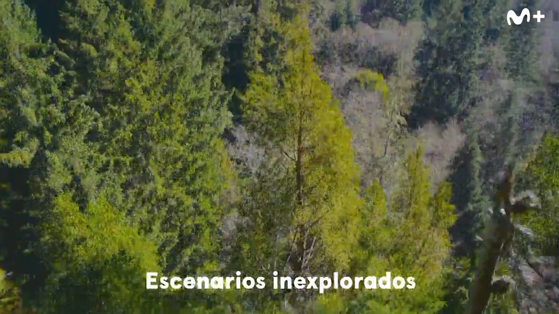 Trailer del documental 'The Americas'