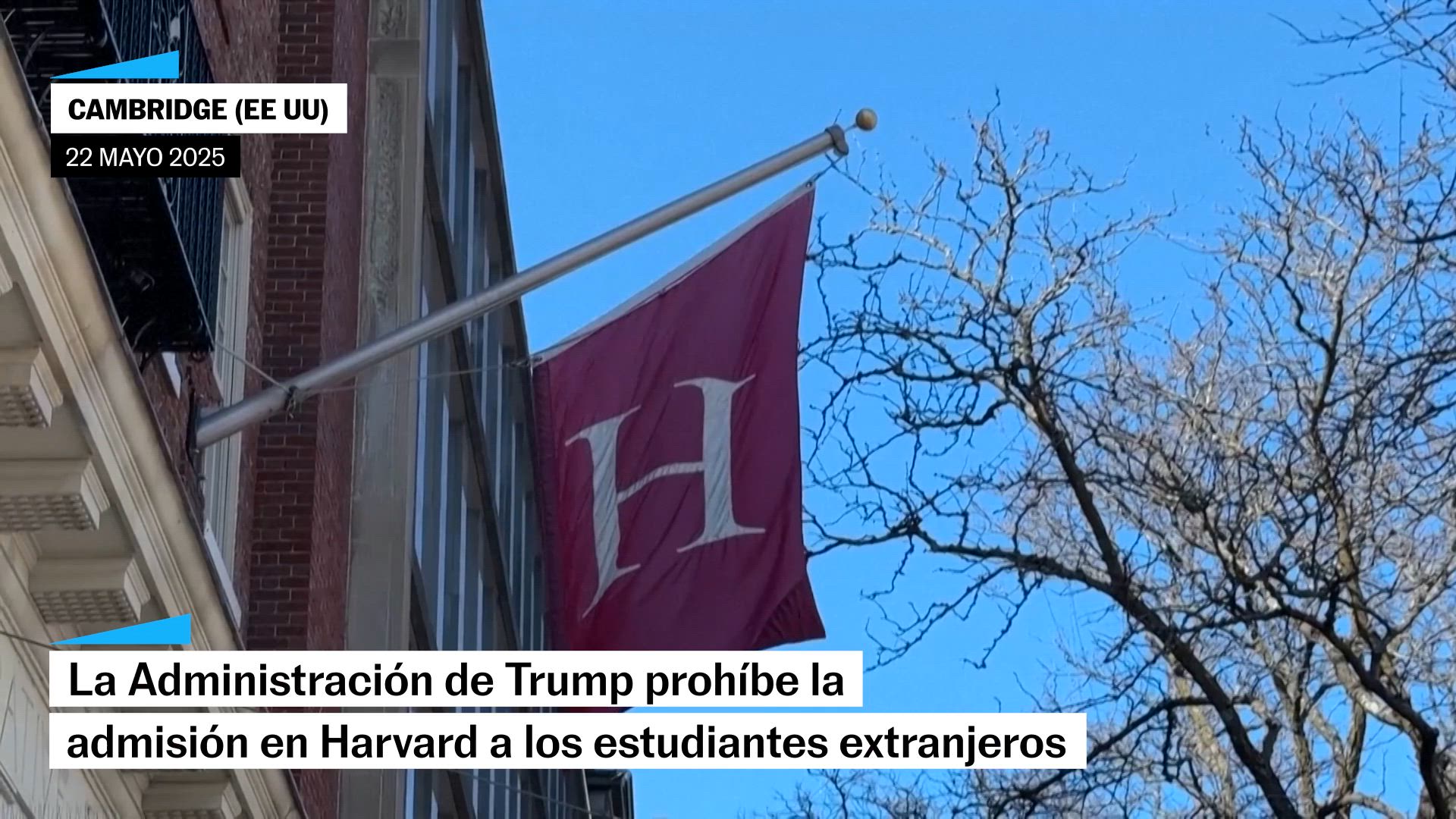 Trump veta la entrada a personas extranjeras a Harvard: "los visados son un privilegio, no un derecho"