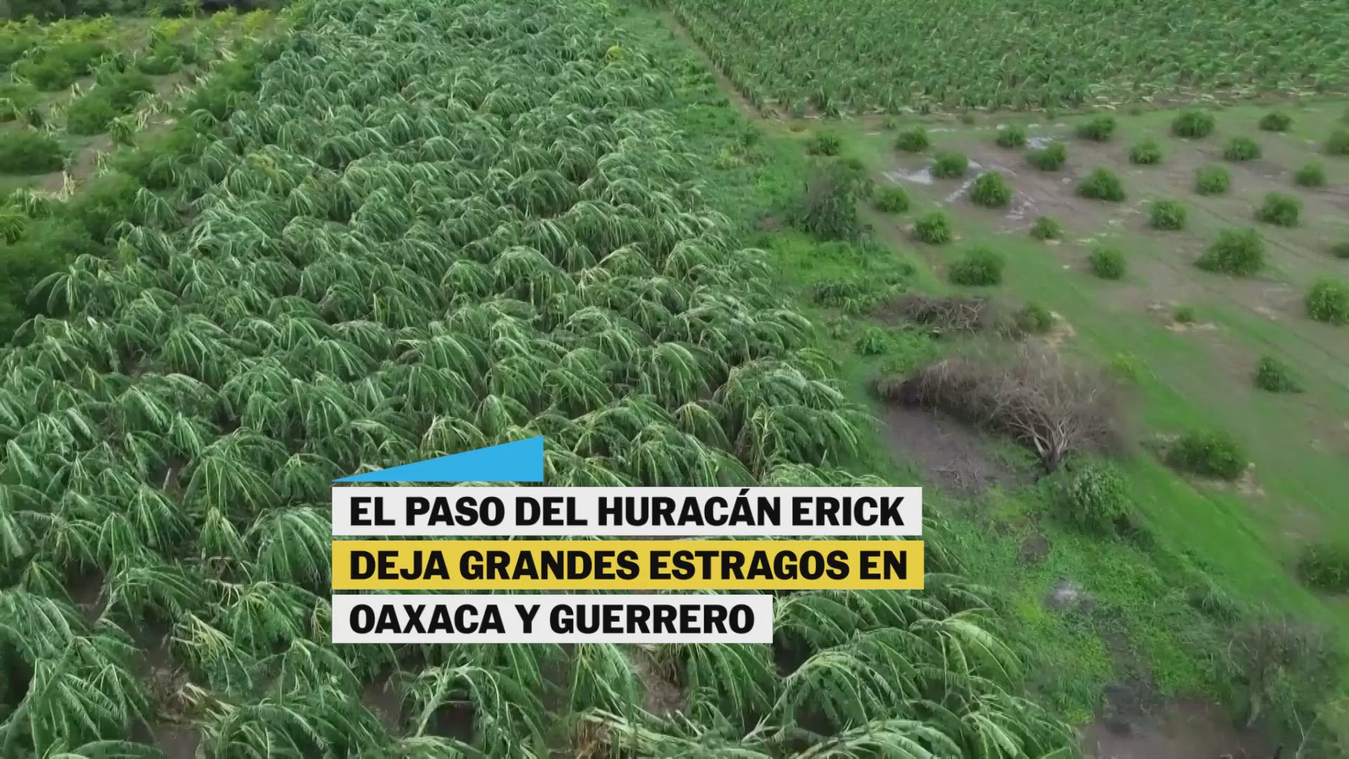 Huracán Erick daña la red eléctrica de México