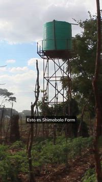 ¿Cómo afecta a un agricultor la enorme deuda externa de Zambia?