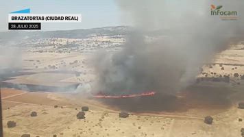 Un incendio en Ciudad Real obliga a detener la circulación ferroviaria entre Madrid y Andalucía